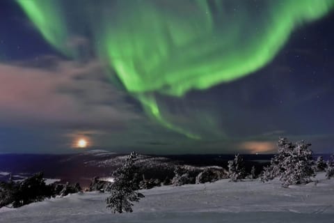 Arctic Star Levi - Riekon Lumo Apartment in Lapland