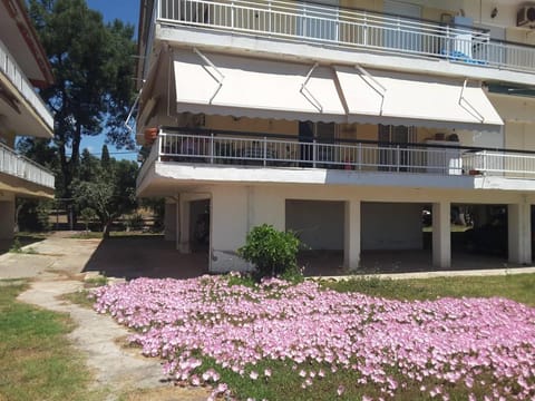 Metamorphosis - Halkidiki Apartment on the beach Condo in Halkidiki