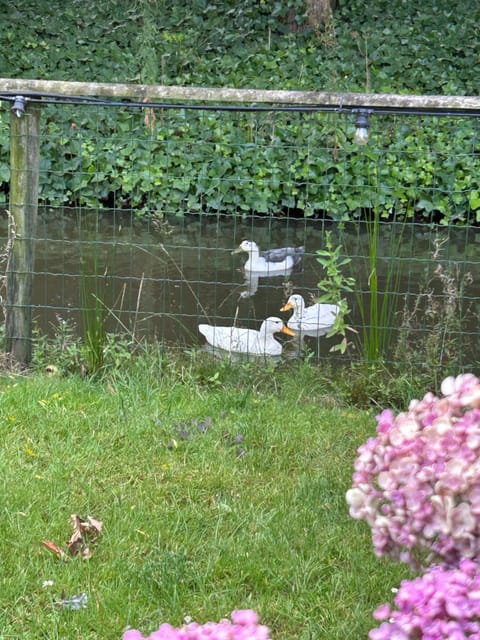 Holiday Home 'T Wildenburgs Klaverhuys Villa in Flanders