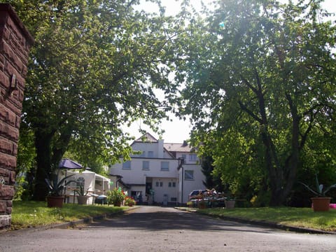 Property building, Day, Garden