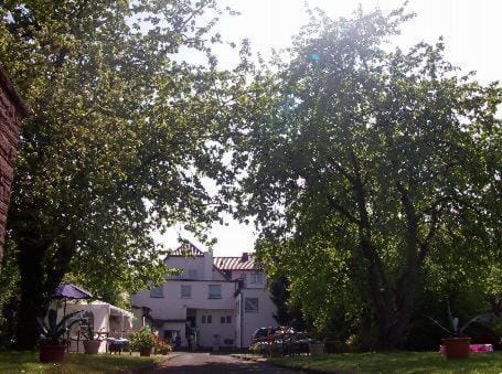 Property building, Day, Garden