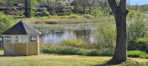 Lake view