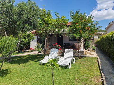 Garden, sunbed
