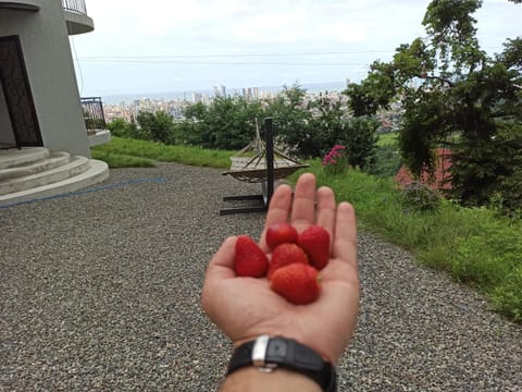 Dream Panorama Villa Batumi Villa in Batumi