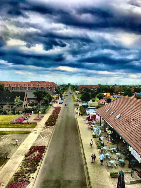 Neighbourhood, Bird's eye view, Beach, Street view