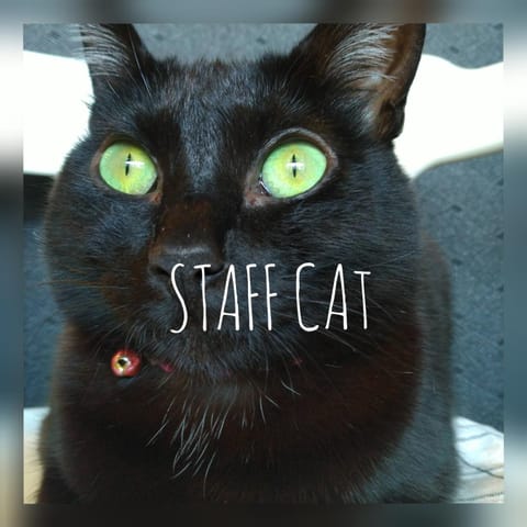 Staff