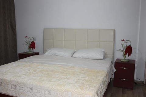 Hotel Kings Apartments Apartment in Montenegro