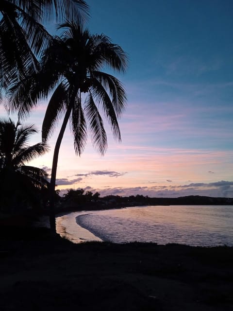 Nearby landmark, Natural landscape, Beach, Sunset