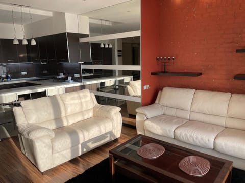 TV and multimedia, Kitchen or kitchenette, Living room, Seating area, minibar, pet friendly