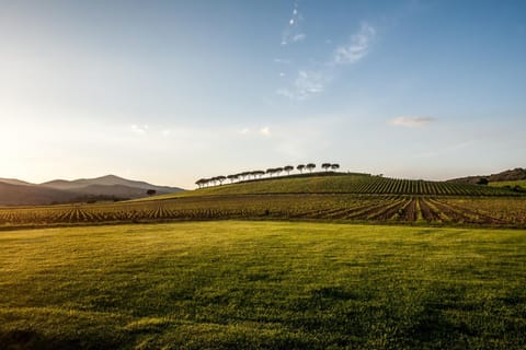 REFUGIUM CountryHouse Appartement-Hotel in Tuscany