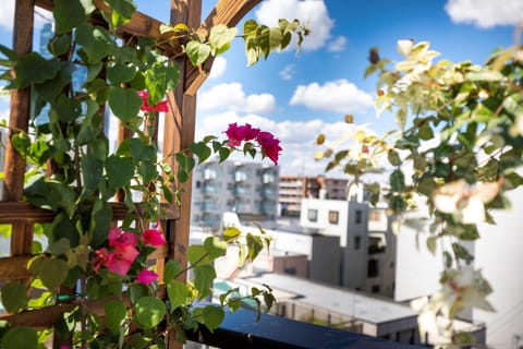 Balcony/Terrace, Area and facilities