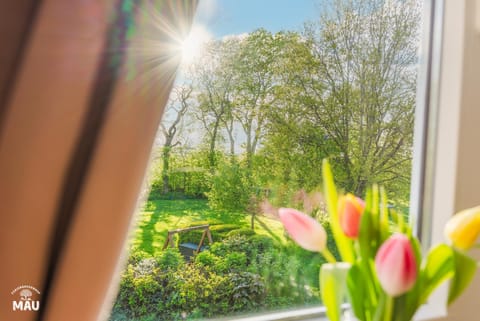 Property building, Spring, Winter, Summer, Garden, View (from property/room), Autumn, Garden view, Sunrise, Sunset, sunbed