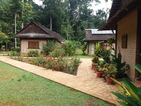 ATTA Rainforest Lodge Hotel in Guyana