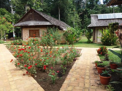 ATTA Rainforest Lodge Hotel in Guyana