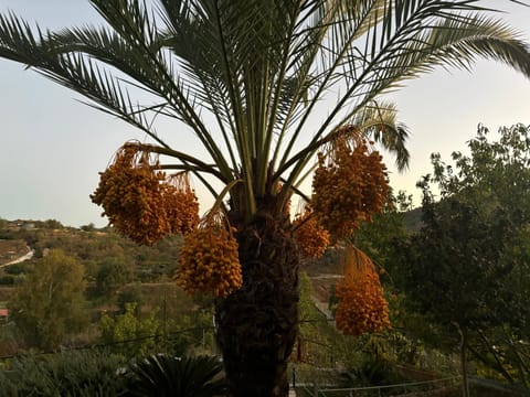 SOFROS VALLEY HILLS CHALET Chalet in Limassol District