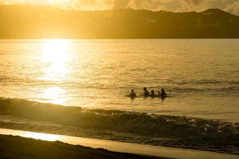 Day, People, Natural landscape, Beach, Sea view, Sunset, group of guests