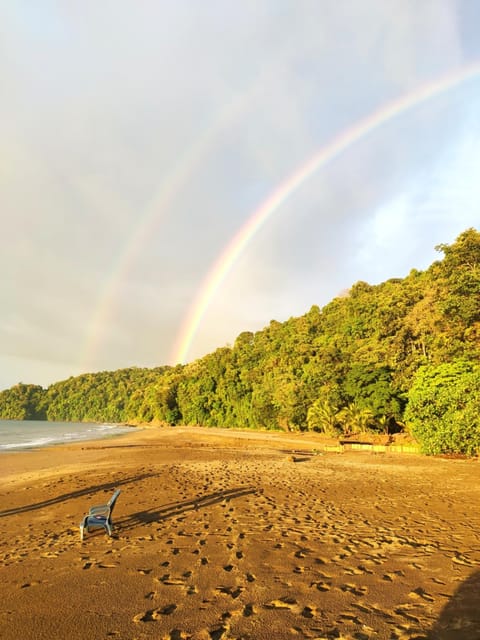 Natural landscape, Beach