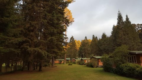 Garden, Garden, Garden view, Garden view