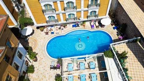 Bird's eye view, Swimming pool, sunbed