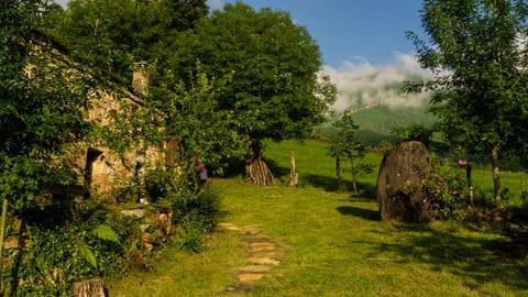 Natural landscape, Garden, Hiking