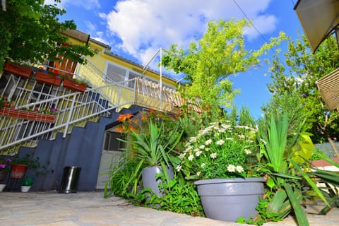 Property building, Day