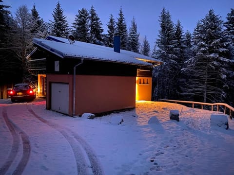 CHALET DE MANU Chalet in Vosges