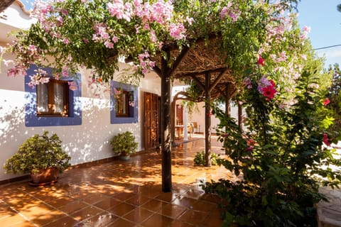 can vinyeta House in Ibiza