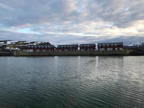 Nappstraumen seafront cabin Nature lodge in Lofoten