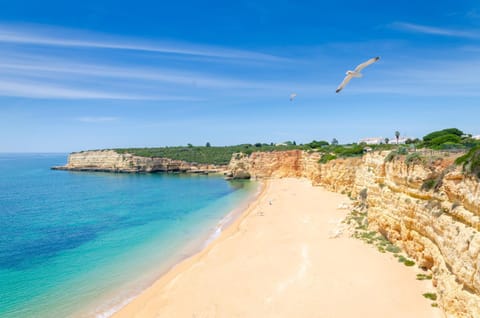 Natural landscape, Beach