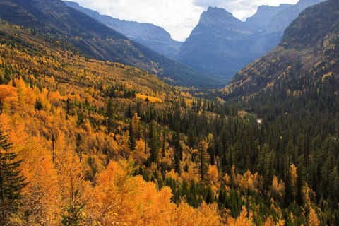Crail Creek 607 Apartment in Big Sky