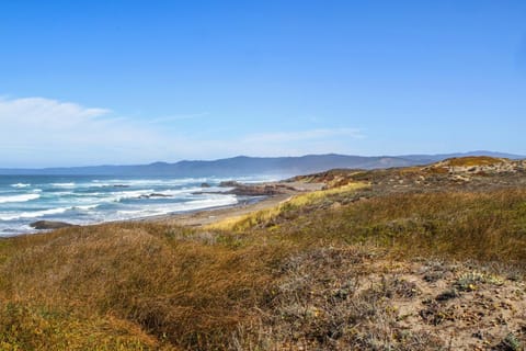 Natural landscape, Beach