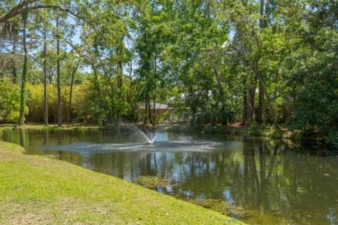 Harbour Oaks # 111 House in Saint Simons Island