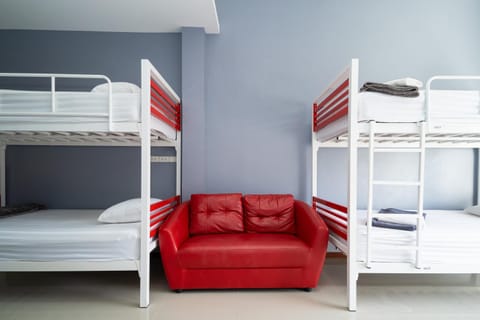 Bed, Photo of the whole room, Bedroom, bunk bed