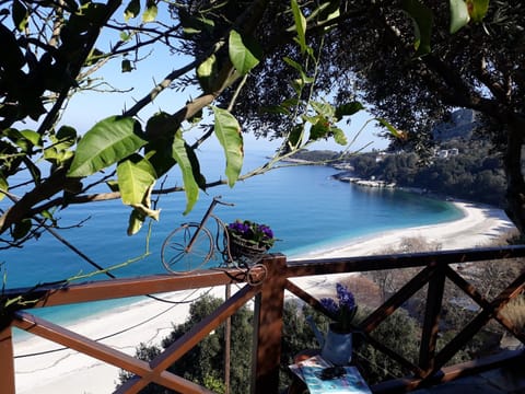 Balcony/Terrace, Sea view