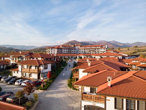 Neighbourhood, Bird's eye view