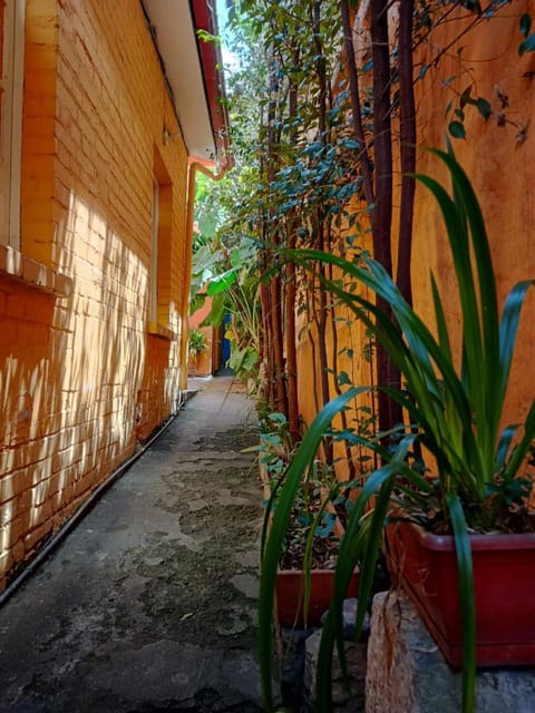 Casa-Arbol Condominio in Bogota