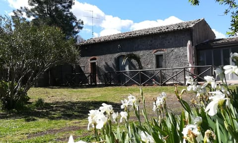 Property building, Garden, Balcony/Terrace