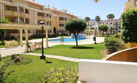 Garden, Swimming pool