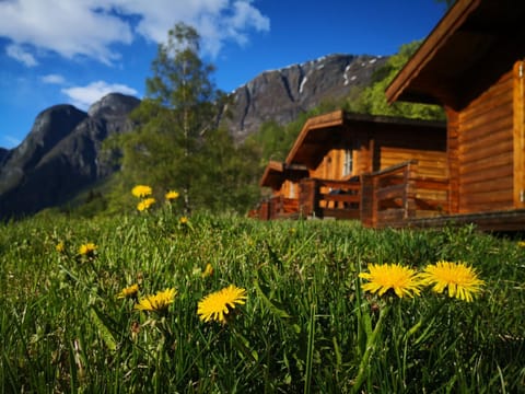 Property building, On site, Mountain view