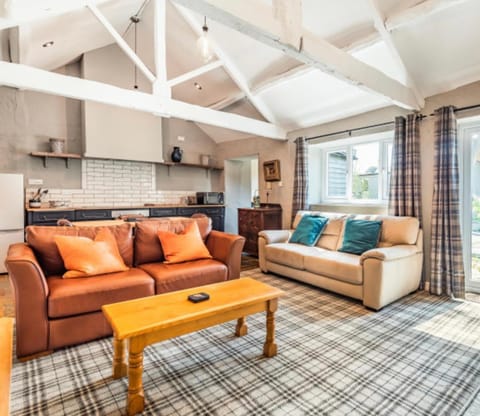 Living room, kitchen