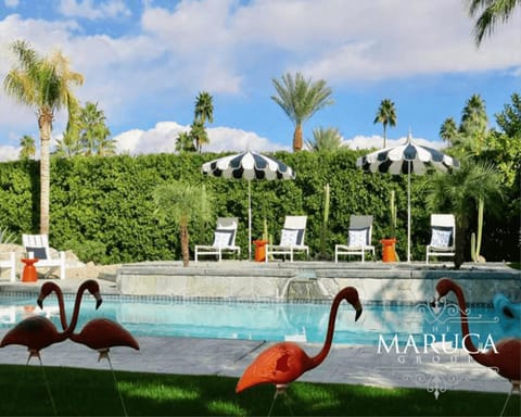 Day, Garden view, Pool view, Swimming pool, sunbed