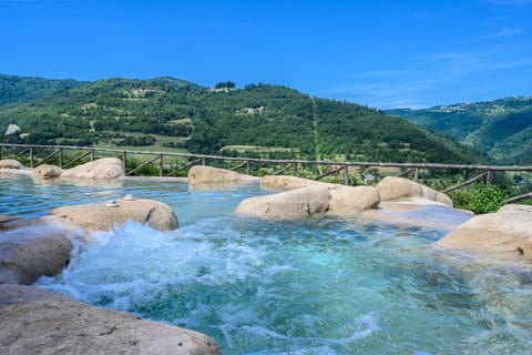 Natural landscape, Mountain view, Swimming pool, Open Air Bath