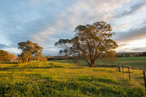 Beaudesert Mudgee - Kanimbla Guesthouse & Beaudesert Cottage House in New South Wales