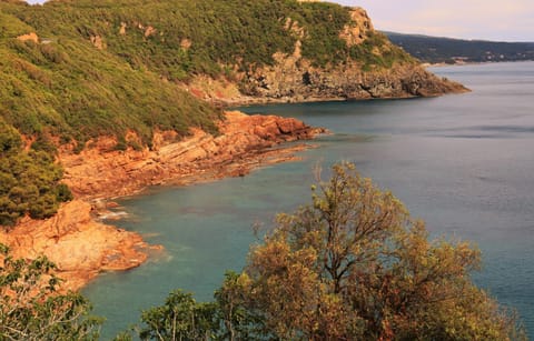 Nearby landmark, Natural landscape