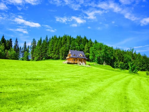 Jarogówka Stylowy dom góralski Maison in Lesser Poland Voivodeship