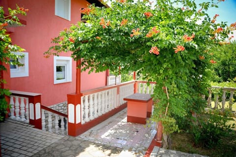 Apartments in Lopar/Insel Rab 36282 Apartment in Lopar