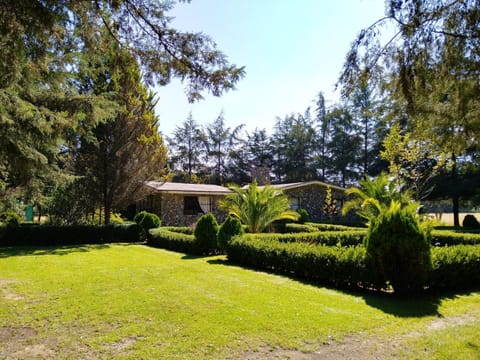 Facade/entrance, Garden