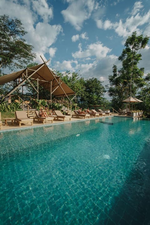 Pool view, Swimming pool, sunbed