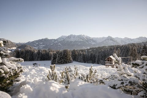 Winter, View (from property/room)