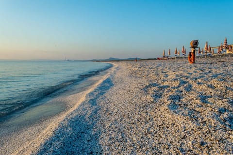 Beach, Area and facilities